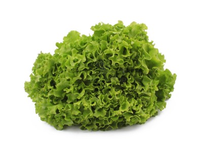 Салат айсберг 300 г - купить в Новой Райгородке